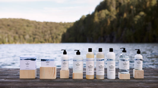 見渡す限りのフレッシュさ。